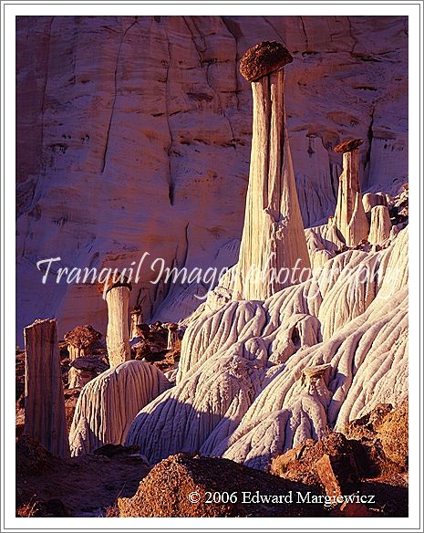 450197   Towers of Silence in the Wahweap wash, Utah 